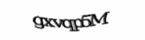 Security check image, please type the characters shown