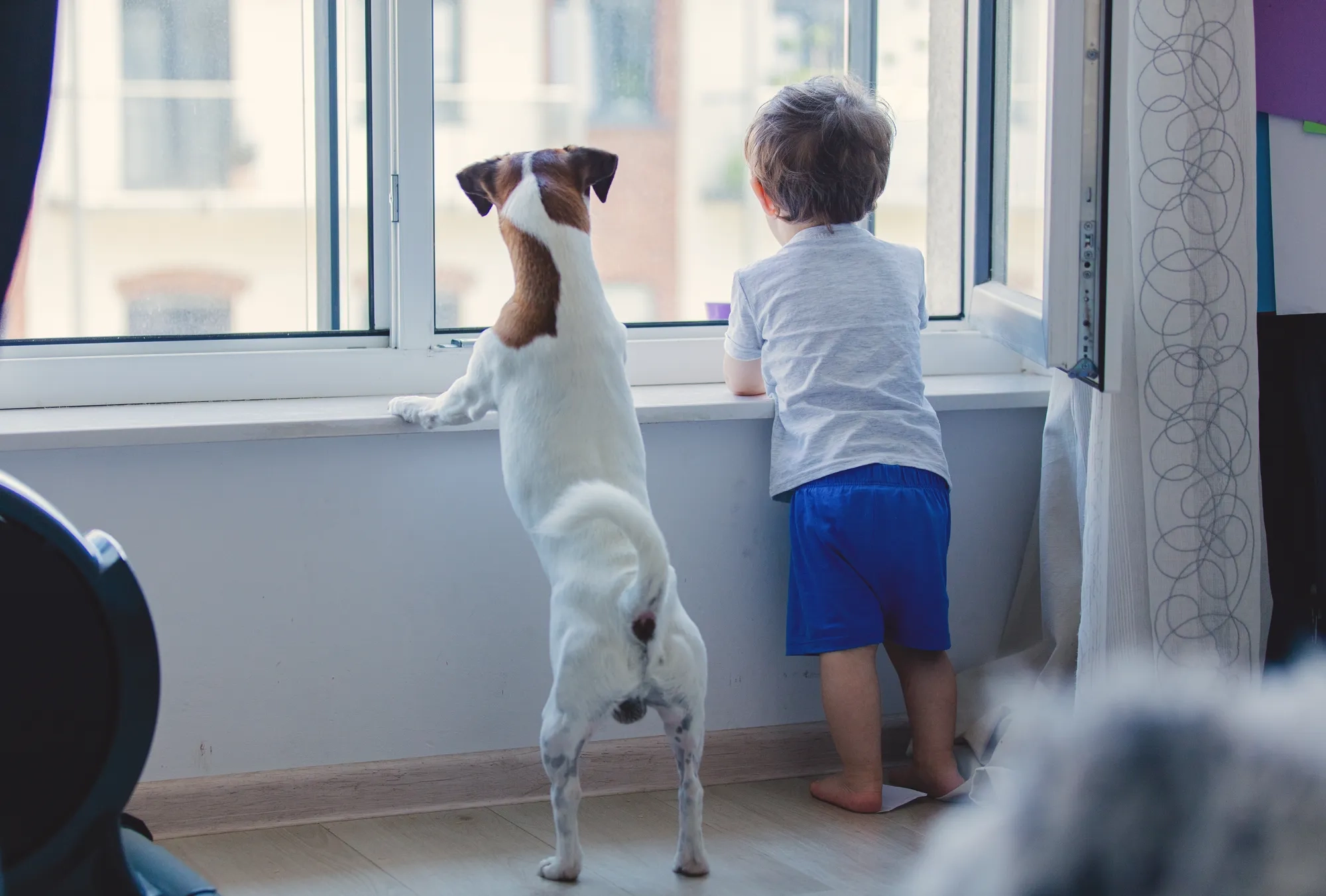 Baron is a leading contract manufacturer to the veterinary sector