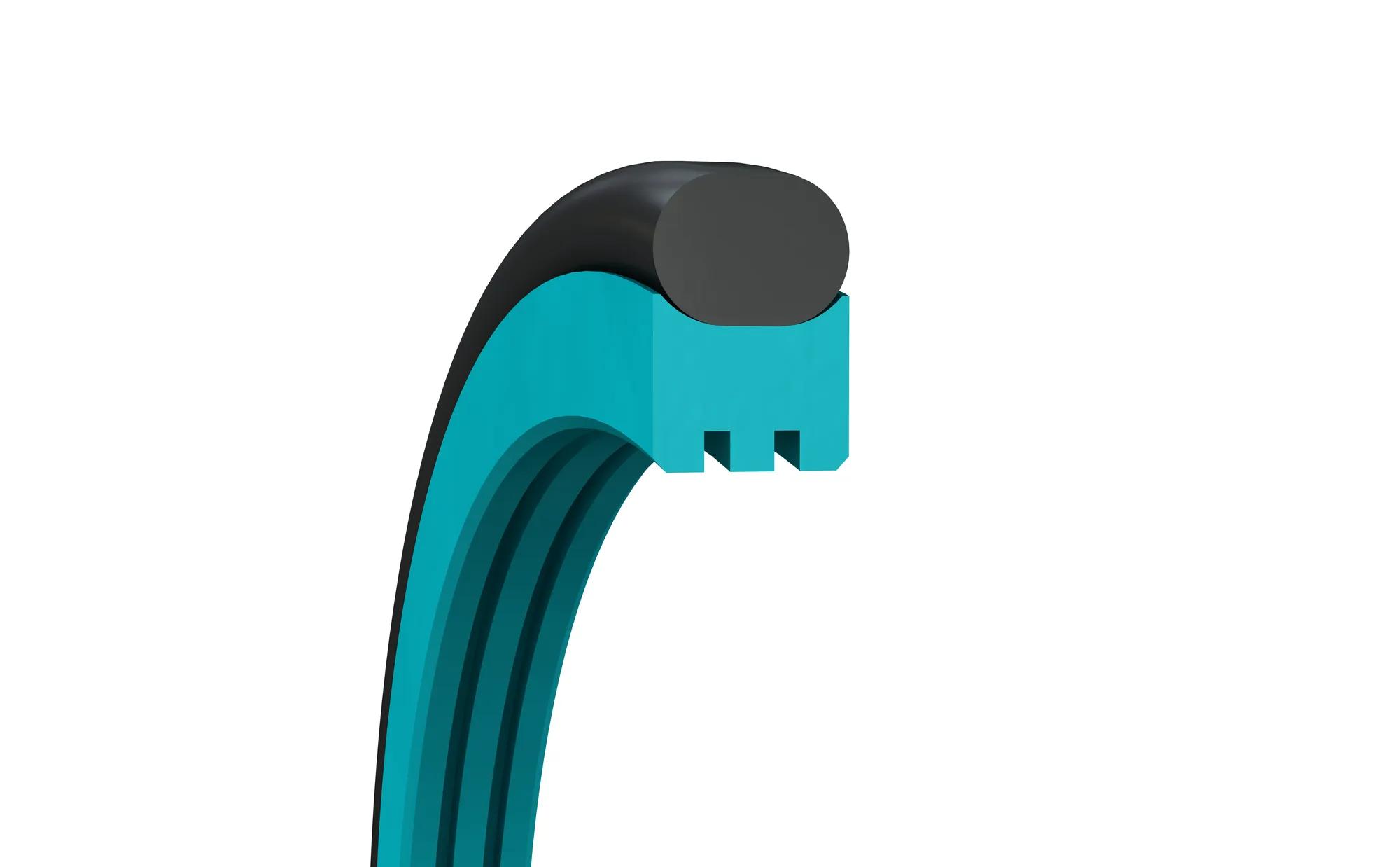 Turcon_Roto_Glyd_Ring6