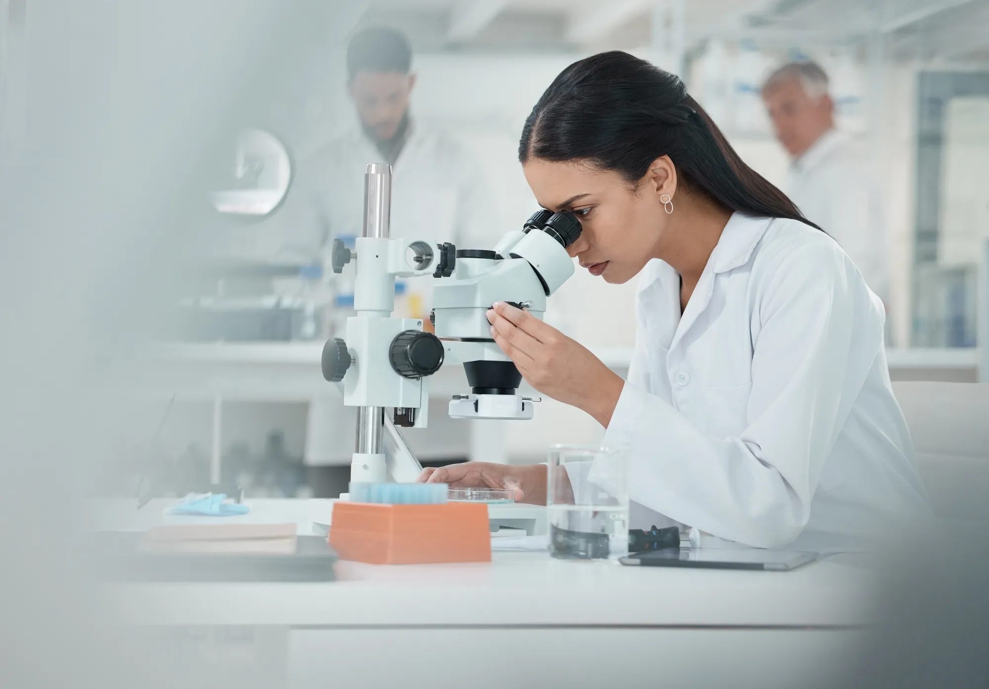 Scientist, woman and check with microscope in lab for disease experiment, medical study and dna process. Researcher, biotech and molecule exam of engineering, vaccine research and healthcare solution.