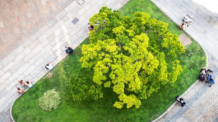 An image of some people from above sitting at a small city park green
